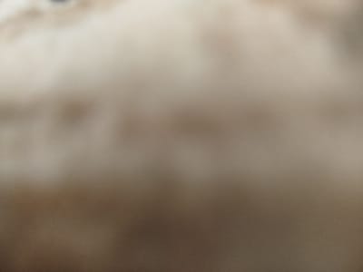 The image is a close-up, out-of-focus shot of what appears to be soft, textured material. The dominant colors are light beige and brown, with subtle variations in tone suggesting depth and shadow. There are no discernible objects, people, or specific features in the image, making it impossible to determine a location within Naryn City or any other place. The blurriness and lack of detail prevent any forensic analysis or factual description of a scene.
