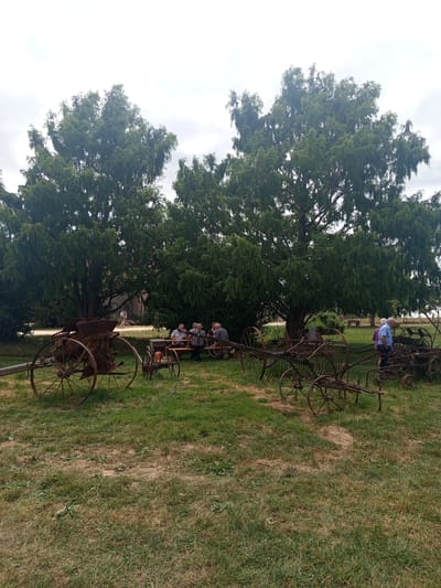 In the commune of Azannes-et-Soumazannes, France, an outdoor scene unfolds under a cloudy sky, dominated by two large, mature trees with dense foliage. In the foreground, several pieces of aged, rusty agricultural machinery are displayed on a grassy field. To the left, a large, wheeled implement with a hopper and intricate metalwork sits prominently. To its right, a smaller, similar piece of equipment is positioned. Further to the right, a rake-like apparatus on wheels is visible.
Several people are present in the scene. A group of men are seated at a wooden picnic table under the shade of the trees, engaged in conversation. To the right of the table, a woman in a blue shirt and a person in a purple shirt stand near the agricultural equipment. In the background, a person walks near a weathered building with a wooden door, and other figures are faintly visible near the trees. The ground is covered in dry and green grass, indicating a summer or late spring setting.