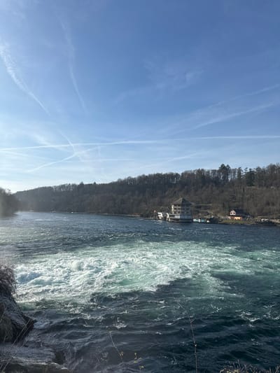 The image displays a wide view of the Rhine River in Neuhausen am Rheinfall, Switzerland. The foreground and mid-ground are dominated by the river, exhibiting turbulent, white-foaming rapids and strong currents flowing from left to right. The water is a dark blue-green in calmer areas, transitioning to light turquoise and white in the most agitated sections. A rocky bank with sparse, leafless brown vegetation is visible on the immediate left. The opposite bank, on the right side of the river, features a densely forested hillside composed of deciduous trees, bare of foliage, stretching along the horizon.
A prominent, multi-story building with a light-colored facade and a dark, possibly pitched roof is situated on the right bank, appearing to be built partially over the water. Several small, light-colored boats or ferries are docked adjacent to this building. A red Swiss flag with a white cross is flying from a pole near the building. Further to the right along the bank, smaller structures, including a reddish-brown house, are discernible. The upper half of the frame shows a clear, light blue sky containing multiple distinct and dissipating white airplane contrails crisscrossing the expanse. No individuals are visible.