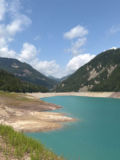 An aerial view captures the expansive turquoise waters of a mountain lake, likely in the vicinity of Ampezzo/Dimpeç, Italy. The lake's shore is marked by a steep, dry embankment with visible layers of sediment and scattered debris, suggesting a low water level. Further inland, the terrain rises sharply into densely forested mountains that form the backdrop. The sky above is a bright blue, dotted with fluffy white clouds. In the foreground, a patch of vibrant green grass with small pink and white flowers grows on the rocky ground. The overall scene is one of natural beauty, characterized by the striking contrast between the vibrant water and the rugged mountain landscape.
