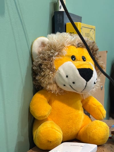 An indoor scene in Gradezhnitsa, Bulgaria, features a plush toy lion positioned on a brown wooden-like surface, leaning against a light greenish-blue wall. The lion is primarily bright yellow with a light brown fluffy mane, white muzzle, black stitched nose, and black bead eyes, each with a small white reflective dot. It is in a sitting posture, facing slightly right of the viewer. Behind the lion's head, a stack of books is visible, including a dark-colored book with "ТАХЕРЕ МАФИ" (Tahereh Mafi) and "1" printed in Cyrillic, and a yellow book with "ИЗАБЕЛ" (Isabel) in Cyrillic. A braided black cable runs diagonally from the upper right corner of the frame, passing over the top of the lion's head. In the lower right foreground, a white rectangular object, possibly a device, with partial text resembling "ORBIT" is visible on the brown surface. No human figures are present.