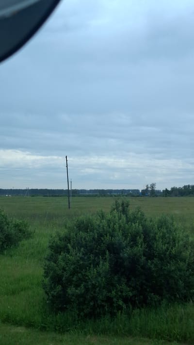 The image depicts an outdoor scene with a vast, cloudy sky dominating the left half of the frame. The sky is a pale blue with streaks of white clouds, suggesting an overcast day. On the right side of the image, a lush green field stretches towards a distant treeline. The field appears to be a meadow or pasture, with tall grasses and some scattered bushes.

In the middle ground, there are several power poles with wires running between them, indicating the presence of electrical infrastructure. A single, dark-colored wooden pole stands prominently in the foreground, with thinner wires extending horizontally across the field. Further back, more poles are visible, disappearing into the hazy distance.

To the far right, a dense cluster of dark green foliage, likely a large bush or tree, occupies the edge of the frame, contrasting with the lighter green of the field. The overall impression is one of a rural or semi-rural landscape.

The image is taken from a slightly elevated perspective, possibly from a moving vehicle, as suggested by the dark curved object in the bottom left corner which might be part of a car. The lighting is diffuse, consistent with an overcast day, and the time of day is difficult to ascertain precisely but appears to be daylight. There is no visible text in the image. The scene evokes a sense of openness and quietude, typical of countryside vistas.