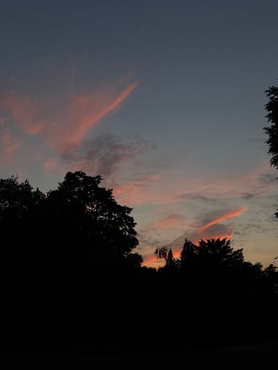 The image captures a silhouetted treeline against a dusky sky with wisps of pink and orange clouds. The sky is a gradient of deep blue transitioning to lighter shades near the horizon. The silhouette of the trees forms a dark, jagged line across the lower portion of the frame. There are no people or discernable objects visible in the foreground. The scene appears to be an outdoor natural setting, possibly a park or wooded area on the outskirts of a city. Without specific landmarks or context, pinpointing an exact location within Deventer, Netherlands is not possible.