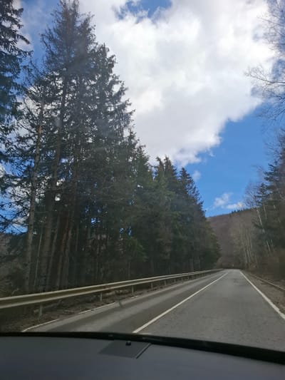 The image shows a road running through a forested area. On the left is a dense collection of coniferous trees and above it, a blue sky with scattered clouds. To the right of the trees is a gray asphalt road, marked with a white line. A metal guardrail borders the road. The photograph appears to be taken from inside a vehicle. The location may be Gintsi, Bulgaria, given the request.