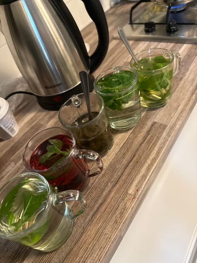 A close-up, high-angle shot shows five clear glass mugs filled with tea, arranged diagonally on a wooden countertop. The mugs contain varying shades of amber, green, and red liquids, with mint leaves floating in each. Small metal spoons are visible in three of the mugs. To the left, a silver electric kettle with a black handle is partially visible. Behind the mugs, a gas stovetop with blue flames is in the background. A white plastic container is also present on the left side of the countertop. The scene appears to be a domestic kitchen setting. The location is not specified in the image.