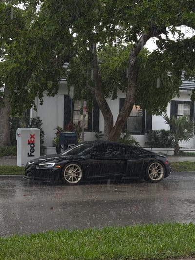 The image shows a rainy street scene, likely a residential area, in Naples, Florida, United States of America. A black sedan is parked on the side of a wet asphalt road. A FedEx delivery box is positioned near the curb. A large tree with dense green foliage overhangs the street and obscures parts of a house with a black-and-white exterior design. Grass and other greenery line the edge of the road. The image captures the heavy rainfall conditions.