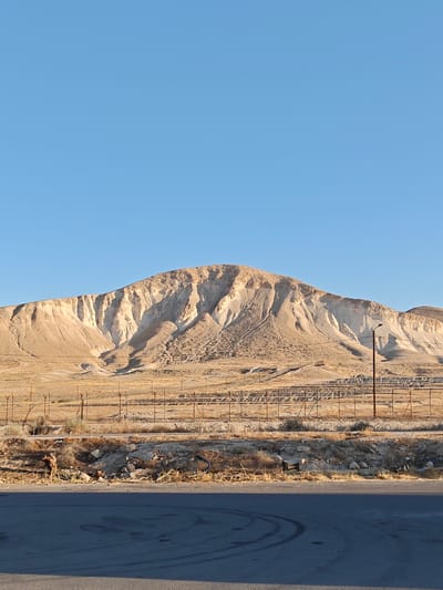 A wide, vertical shot captures a desert landscape under a clear blue sky. In the foreground, a paved road with tire marks dominates the lower portion of the frame. Beyond the road, a dry, scrubby embankment is visible, littered with debris including a cardboard box and rocks. A fence line runs horizontally across the mid-ground, with several metal posts and wires. Behind the fence, a vast expanse of dry, beige terrain stretches towards a large, layered mountain range that fills the background. The mountain's surface is textured with numerous eroded gullies and sharp ridges, illuminated by the warm light of what appears to be late afternoon. A lone street lamp stands to the right of the frame, casting a shadow across the arid land. The scene evokes a sense of remoteness and stark natural beauty, consistent with an arid region. The location is specified as being within the Arvot Hayarden Regional Council, Palestinian Territories.