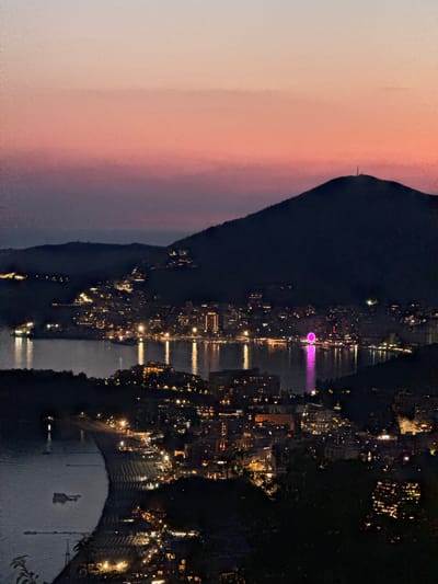 The image depicts a twilight view of the city of Podbadac, Montenegro, from an elevated vantage point. The sky transitions from a soft pink and orange hue at the top to a deep purple and dark blue closer to the horizon. A silhouetted mountain dominates the upper right portion of the frame, with a small communication tower visible on its peak. Below the mountain, the city lights of Podbadac twinkle along the coastline and hillsides, reflecting in the dark water of the bay. A Ferris wheel, illuminated in pink, is a prominent feature in the city's illuminated skyline. The foreground consists of dark, silhouetted foliage, obscuring some of the lower parts of the scene. There are no visible people in the image, and the focus is on the urban landscape and natural elements at dusk.