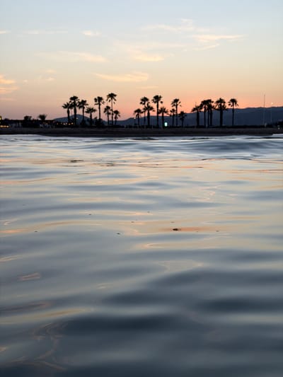 This is a vertical, photographic medium shot of a tranquil waterscape at sunset. The scene depicts a shoreline lined with silhouetted palm trees against a soft, pastel sky. The sky exhibits a gradient of pale blue and warm peach hues, indicating the time of day is likely dusk. Beyond the palm trees, a dark, mountainous silhouette is visible, with faint lights suggesting a distant town or city.

The foreground is dominated by the reflective surface of the water, which is rippled, creating abstract patterns of light and shadow. The water's surface captures the fading light of the sun, reflecting warm, golden and orange tones alongside the cool, blue-grey of the water itself. Small, dark specks can be seen on the water's surface, possibly debris or insects.

The image conveys a sense of peace and serenity. The lack of prominent human subjects focuses attention on the natural beauty of the scene. The overall mood is calm and contemplative, characteristic of a peaceful evening by the sea. No visible text is present in the image. The location context suggests this scene is situated along the coast of Castelló de la Plana, Spain.