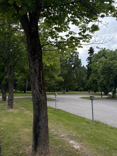 The image depicts a paved area in a park, likely a parking lot or a walkway, with a gentle curve. The ground is a mixture of asphalt and grass. Several trees are present, with a prominent, textured tree trunk in the foreground on the left. In the background, a dense line of trees forms a natural backdrop, with a tall, dark evergreen tree standing out among them. A streetlamp with multiple fixtures is visible above the tree line, suggesting the area is equipped for evening use. The sky is overcast with a cloudy pattern. Scattered metal posts with concrete bases are strategically placed along the edge of the paved area, possibly serving as bollards or markers. The overall impression is one of a well-maintained, public outdoor space in Pori, Finland.