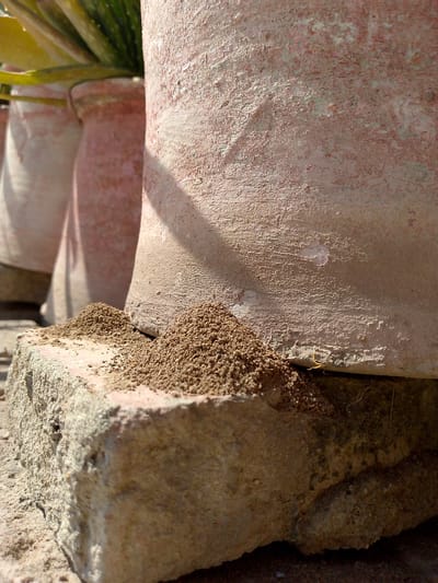 A close-up, low-angle shot captures a pile of dark brown soil accumulated on a rough, light-brown brick. The soil mound is situated in front of a textured, light-pink, cylindrical object, possibly a plant pot, which is casting a shadow to the left. In the background, out of focus, are other similar plant pots and green foliage. The lighting suggests an outdoor environment, possibly during the day with sunlight creating highlights and shadows. The scene appears to be located outdoors, on a surface composed of brick and soil.