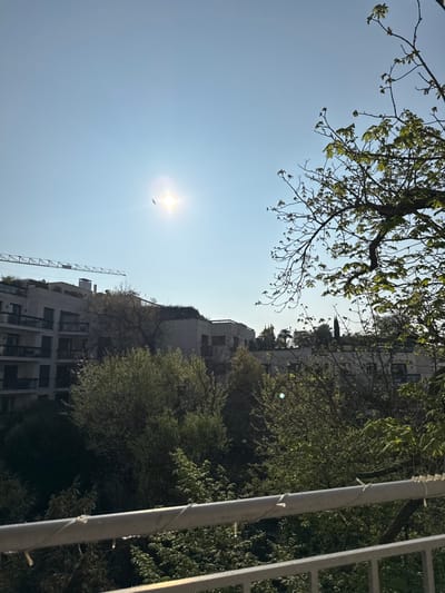 The image depicts an elevated outdoor scene in Neuilly-sur-Seine, France, on a clear, sunny day. The sky is a light blue, with the sun prominently positioned in the upper-left quadrant, creating a bright lens flare. A single dark bird is captured in flight directly to the left of the sun. In the middle ground, multiple modern, light-colored residential buildings with balconies and flat, vegetated rooftops are visible. A white construction crane extends above the buildings in the upper-left, indicating nearby development. The lower half of the frame is dominated by a dense canopy of trees and vegetation, exhibiting varying shades of green, with some trees showing nascent spring foliage. A large tree branch with fresh, light green leaves partially frames the upper-right corner. In the immediate foreground, a light-colored metal balcony railing, adorned with a string of small, reflective elements or lights, runs horizontally across the bottom of the frame.