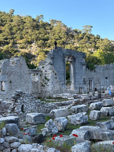 This image depicts expansive ancient ruins set against a verdant, forested hillside under a clear blue sky. The ruins, predominantly constructed from large, grey stone blocks, are scattered across the right and foreground of the scene, showcasing remnants of former structures.
A significant feature is a relatively well-preserved rectangular stone facade with a large central opening, likely an entrance or gateway, positioned in the mid-ground. Surrounding this structure are countless fallen blocks, partial walls, and foundations, suggesting a once-flourishing settlement. Green grass, small plants, and several striking red poppies are interspersed among the stones, adding splashes of color to the ancient landscape, particularly visible in the lower right.
Several people are present, appearing to be visitors exploring the archaeological site. One individual in a light blue garment stands on stone steps in the upper right. Another person in dark clothing is seen near a collapsed structure in the mid-ground, and a third figure stands atop a stone wall to the left of the main facade.
The backdrop consists of a steep, heavily wooded hillside with dense green trees and rocky outcroppings, indicating a natural, possibly mountainous, environment. The sky is a bright, clear blue, suggesting favorable weather conditions, and the strong sunlight points to late morning or early afternoon. The scene evokes a sense of historical grandeur and tranquil exploration within the Kumluca region of Turkey. No discernible text is visible within the image.