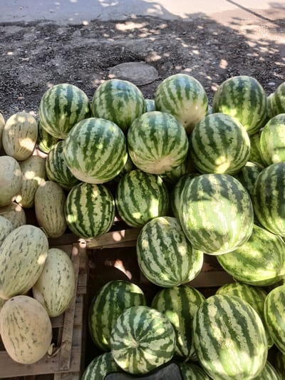 A close-up, top-down view shows a large pile of watermelons for sale at a market in Saykeldi, Uzbekistan. The watermelons are predominantly green with lighter green stripes and varying sizes and shapes. Some are round, while others are more oval. The foreground features a wooden pallet with several light-colored, striped watermelons and a dark green watermelon. The background is a mix of gray, rocky ground and shadows cast by overhead foliage. No people are visible in the image.
