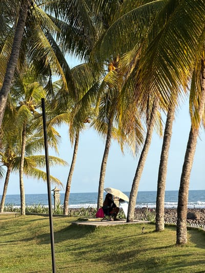 The image depicts a serene coastal scene in Pekutatan, Indonesia, beneath a canopy of tall palm trees. In the foreground, a neatly manicured green lawn is dappled with sunlight and shadow. A dark, thin pole stands prominently in the center-left of the frame. Further back, two individuals are seated on chairs, sheltered by an umbrella, facing the ocean. One person is holding a pink bag on their lap. A pathway runs along the edge of the lawn, separating it from a rocky shoreline. The sea, a calm blue, meets the horizon under a clear sky, with gentle waves lapping against the shore. A traditional stone lantern stands amidst sparse vegetation near the waterline, adding a touch of cultural ambiance to the tropical landscape.