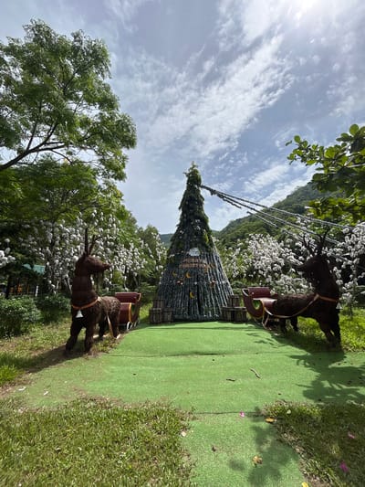 In Hoa Thang, Vietnam, a festive Christmas display is set up outdoors. The centerpiece is a tall, cone-shaped Christmas tree adorned with lights and decorative elements like crescent moons and stars, which reads "MERRY CHRISTMAS". Flanking the tree are two large, brown, straw-like reindeer figures, each with a sleigh behind it. The reindeer on the left has a bell attached to its neck. The display is situated on a vibrant green artificial turf area, surrounded by lush green grass and trees. In the background, a lush, mountainous landscape is visible under a partly cloudy sky. The overall scene suggests a holiday-themed attraction or event.