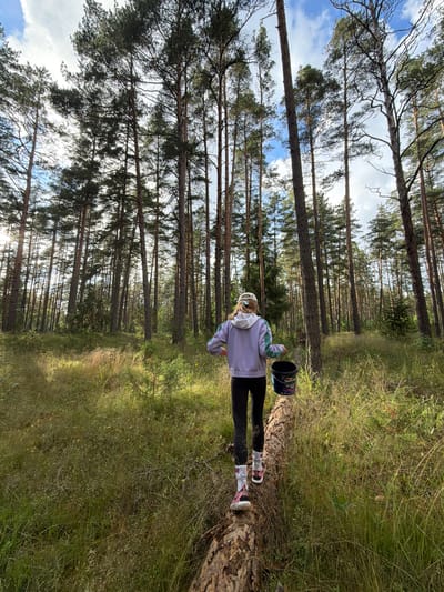 In Mucenieki, Latvia, a young person is walking across a fallen tree trunk in a pine forest. The individual, facing away from the camera, wears a light purple hoodie with green accents, black leggings, white socks with black and pink logos, and pink sneakers. They are holding a black bucket with a blue label that reads "Sadolin BINGO" in their right hand. The forest floor is covered in tall, dry grass and some smaller green plants. Sunlight streams through the tall pine trees, creating dappled light on the ground. The sky above is blue with scattered white clouds.