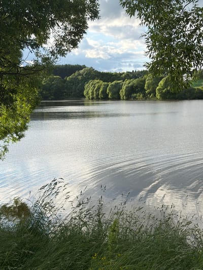 The image depicts a serene natural landscape scene. The foreground is dominated by lush green grass and reeds, with some tall grass stalks swaying gently. Beyond the grassy bank lies a wide expanse of calm water, likely a lake or river, reflecting the sky and the surrounding trees. The water's surface is disturbed by gentle ripples, creating patterns of light and shadow.
In the midground, a line of dense green trees forms a natural border along the far bank of the water. These trees appear to be deciduous, with full, rounded canopies. The sky above is partly cloudy, with patches of blue visible through scattered white clouds. Sunlight filters through the clouds, casting a soft, diffused light on the scene.
The overall impression is one of peacefulness and natural beauty. The location is identified as Satino-Russkoe, Russia, suggesting this is a rural or semi-rural area with access to bodies of water and abundant vegetation. There are no people, animals, or man-made structures prominently visible in the image, emphasizing the untouched natural setting. The time of day appears to be either late afternoon or early evening, given the quality of the light.