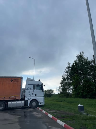A semi-trailer truck is parked on the side of a paved road in what appears to be the city of Бавыкино, Russia. The truck has a white cab with a gray lion graphic on the side and an orange trailer. The trailer has the branding of "M7 TRUCK" with a phone number. The cab is adjacent to a red and white painted curb. The background includes a grassy embankment with trees and shrubs, as well as utility poles and a cloudy sky.