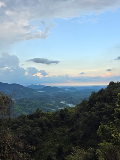 This is a landscape photograph taken from a high vantage point, overlooking a vast expanse of rolling, verdant mountains and valleys. The foreground is dominated by the dense, dark green foliage of trees, with some bare branches and lighter green leaves visible, suggesting a forest on a slope.
In the mid-ground, multiple layers of mountains recede into the distance. These mountains are covered in lush vegetation, and patches of white mist or low-lying clouds are scattered throughout the valleys, creating a sense of depth and atmospheric conditions. The distant horizon shows a softer, more diffused landscape, possibly indicating a plains area or a large body of water, under a hazy sky.
The sky occupies the upper portion of the image and features a mix of clouds. On the left, large, cumulus clouds are present, with shades of white, grey, and hints of blue. Towards the right and center, the sky transitions to a lighter blue, with softer, more scattered clouds, some tinged with pale orange and pink hues, suggesting either sunrise or sunset.
The photograph captures a natural, mountainous environment, likely a forest or a mountainous region with significant tree cover. The specific location in Nao Sẻ, Vietnam, implies a tropical or subtropical climate, consistent with the dense vegetation and misty conditions observed in the image. There are no people or man-made structures clearly visible, indicating an untouched natural scene. The lighting suggests it is either early morning or late afternoon.