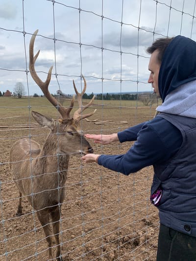 A person is interacting with a deer through a wire fence. The person, wearing a hooded sweatshirt, leans forward to touch the deer's head. The deer, sporting antlers, stands close to the fence. The setting appears to be a rural or outdoor area with a field and some trees in the background. According to the available information, this scene is located in Stary Chultem, Russia.