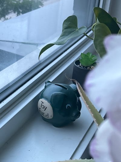 The image depicts a dark green ceramic piggy bank on a white windowsill. The piggy bank has a slot on its back for coins and a label on its side that reads "Toy Fund." There are also two green potted plants in the background. One plant is larger with broad, heart-shaped leaves, and the other is a smaller succulent. The scene appears to be indoors, near a window that looks out onto a blurred outdoor environment. The image does not contain any people or indicate any specific actions or interactions. The location of Richmond Hill, Canada is not discernible from the visual information present in the image.