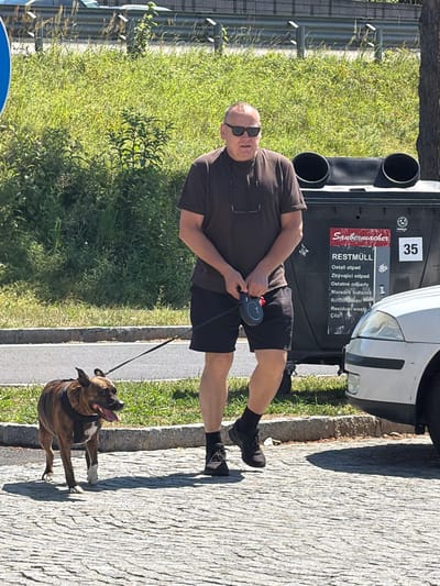 A man wearing sunglasses, a brown t-shirt, and black shorts is walking a brown and white brindle pit bull on a leash on a cobblestone path. Behind the man and dog is a large black dumpster with "Saubermacher RESTMULL" and other text written on it, and a white car is parked next to the dumpster. The environment appears to be an outdoor urban setting in Gralla, Austria, with a grassy area and a road visible in the background. The man is holding a black retractable leash. The dog is panting with its tongue out.