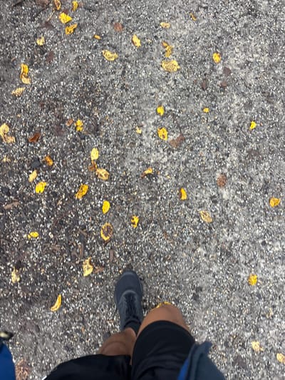 The image shows a person's legs and feet walking on a gravel path with scattered yellow and brown leaves. The person is wearing black athletic shorts and a dark grey athletic shoe. The path appears to be a walking trail or sidewalk. The environment is outdoors, with dappled light suggesting it could be a shaded area or overcast conditions. The exact location in Brunswick East, Australia cannot be determined from the image alone, as there are no landmarks or specific environmental features visible that are unique to that area. The scene depicts a solitary action of walking.