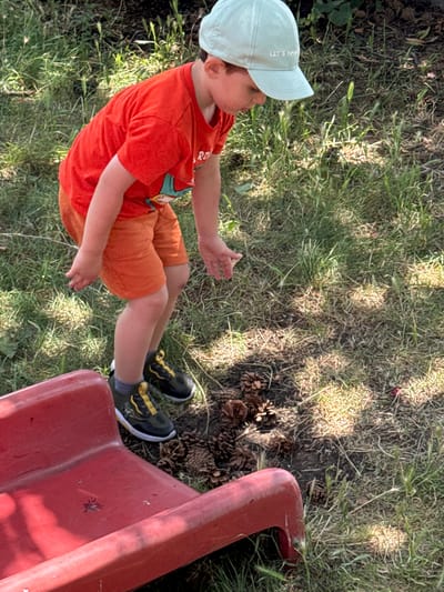 A young child wearing a red t-shirt, orange shorts, a light blue baseball cap, and dark sneakers with yellow laces is bending down to examine pinecones on the ground. The child's left hand is extended towards the pinecones. The background consists of green grass and some soil, with a portion of a red plastic structure, possibly a slide, in the foreground. The scene appears to be an outdoor area, likely a yard or park. There is no indication of the specific location within the city of Vinarsko, Bulgaria.