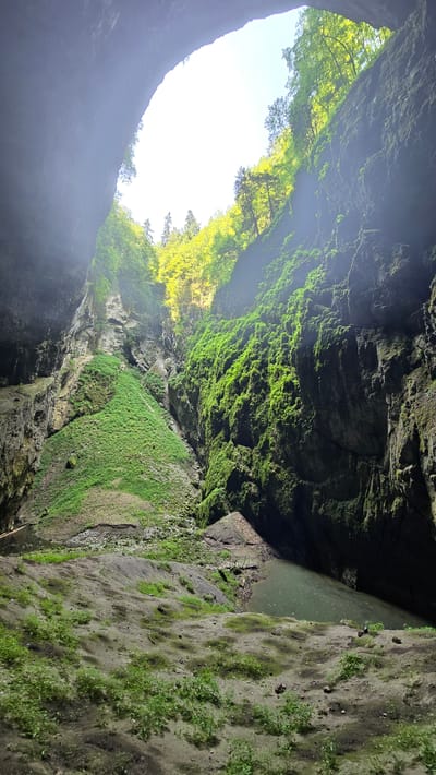 This media file depicts a dramatic natural scene, likely a canyon or a deep ravine, viewed from within. The perspective is looking upwards towards an opening that reveals a bright sky and lush green trees. The towering walls of the ravine are covered in dense green moss, creating a vibrant, almost alien landscape. In some areas, the rock faces are steep and rugged, while in others, they are softened by the thick verdant growth.
At the bottom of the ravine, a body of dark, still water can be seen, reflecting the muted light from above. The water's edge is bordered by muddy banks sparsely covered with vegetation. The overall impression is one of a hidden, wild, and somewhat enclosed natural space. The bright light from the sky suggests it is daytime, possibly late morning or early afternoon, with clear weather. The scene evokes a sense of awe and wonder at the power of nature to sculpt such a landscape and foster life in seemingly harsh conditions. There is no indication of human activity or any visible text in the image. The location context of Vavřinec, Czechia, suggests this could be a cave entrance, a gorge, or a sinkhole.