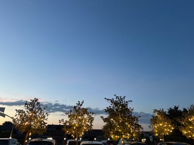 The image depicts a twilight scene at dusk in Ponteterra, Italy. Four trees, illuminated by strings of warm, white lights, stand in the foreground. The trees have dense foliage with visible branches and are scattered across the frame. Beneath the trees, several cars are parked, their shapes partially obscured by the trees and the low light conditions. In the background, buildings with dark roofs are visible, suggesting a residential or commercial area. The sky above transitions from a pale pink and orange near the horizon to a deep blue higher up, with a few wispy clouds scattered across the upper portion of the sky. The overall atmosphere is calm and serene, characteristic of an early evening in a town.
