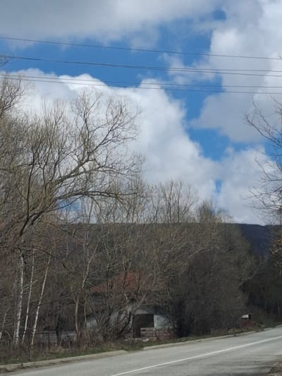 The image shows a partly cloudy sky with power lines on the left, next to a view of leafless trees bordering a road on the right. The location appears to be near Gintsi, Bulgaria. A building is partially visible among the trees.