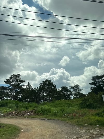 The image depicts an outdoor scene with a dirt road in the foreground. Beyond the road, a dense line of pine trees forms a backdrop against a dramatic sky filled with large, fluffy white clouds and some darker, more ominous clouds. Several power lines are strung horizontally across the upper portion of the image, obscuring parts of the sky. The ground alongside the road is covered in green grass and patches of darker soil, with some visible debris, including what appears to be litter, piled up in a few areas. The overall impression is of a somewhat undeveloped or rural area, possibly on the outskirts of a city like Thôn 6, Vietnam, given the presence of power lines and the natural landscape. There are no people visible in the image.