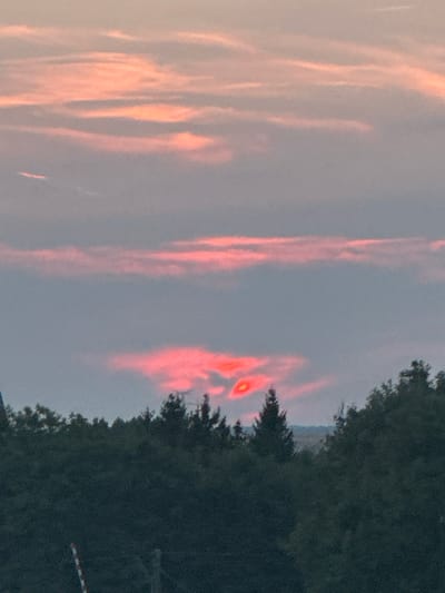 The image shows a landscape scene at sunset, with a sky filled with soft pink and grey clouds. In the foreground, a dense line of dark green trees forms a silhouette against the colorful sky. The clouds in the sky appear to be illuminated by the setting sun, creating a warm glow. The overall atmosphere of the image is tranquil and serene, capturing the beauty of a natural landscape during the golden hour. The image does not provide any specific details about the city of Pagny-sur-Meuse, France, or any people or actions within the scene.