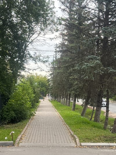 The image depicts a paved pedestrian walkway lined with trees on both sides, suggesting an urban or suburban park or street setting. On the left, a dense line of green trees and bushes creates a boundary. On the right, a row of tall, mature pine trees with sparse foliage forms a distinct line, their trunks angled slightly. The walkway itself is constructed of grey interlocking pavers and appears to be relatively well-maintained, with some fallen leaves scattered along its edges. In the distance, at the end of the walkway, a person is visible, appearing to be riding a yellow electric scooter or similar device. Beyond the walkway, to the right, a paved road is visible with a white vehicle parked. The sky is overcast with a light grey tone. The presence of a paved road, walkway, and parked vehicles indicates an established urban or suburban environment. Based on the provided information, this scene is located in the city of Dedovsk, Russia.