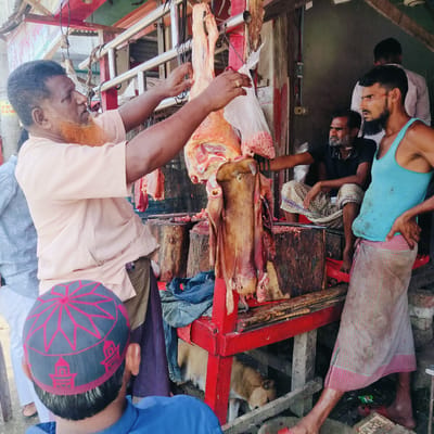 This image captures a bustling scene at a butcher shop or stall in Lalmohan, Bangladesh, likely during the daytime. The central figure is a man with a distinctive orange-dyed beard, wearing a light-colored short-sleeved shirt and a dark lungi. He is actively engaged in preparing meat, with his hands near a large cut of raw meat hanging from a metal rail. A white plastic bag, possibly containing offal or blood, also hangs nearby. He wears a gold ring on his right hand.

Several other men are present. In the foreground, partially visible from behind, is a man wearing a blue shirt and a grey prayer cap with intricate red patterns. To the right, a man in a light blue tank top and a plaid lungi stands with hands on his hips, observing the activity. Behind him, another man in a white shirt is partially visible. Further back, a man with a grey beard, dressed in a black polo shirt and a plaid lungi, sits on a raised platform, also observing.

The setting is an open-front stall constructed with wooden beams, some painted red, and metal rails from which meat is suspended. Large, dark wooden chopping blocks are visible on the counter, stained with blood. Underneath the counter, a light brown dog is resting or sleeping. The hanging meat includes large cuts of red muscle and bone, as well as a distinct animal head/skin.

The overall atmosphere suggests a working market environment. Notable details include the traditional attire of the men, the raw nature of the butchering process, and the rustic construction of the stall. On a yellow pole in the background, some text "LP-W-P-6/10" is faintly visible. A small green packet on the ground has "FRESH" printed on it.