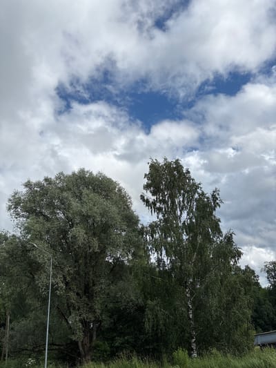 This is a photograph taken from a low angle, looking up at a cloudy sky and the tops of trees. The scene is set in Sauleskalns, Latvia. The sky is a mix of blue patches and white, fluffy clouds, suggesting it is daytime. The clouds are scattered, with some denser patches and some thinner ones, indicating a partly cloudy or variable weather condition.
Dominating the foreground and mid-ground are lush green trees, with dense foliage. A striking feature is a birch tree with its characteristic white bark, prominently visible amidst the greenery. The leaves of the trees appear healthy and full, suggesting a temperate season, likely spring or summer. In the background, on the right side of the image, a glimpse of a building structure, possibly a roof or a fence, and some tall green grass are visible. A slender metal pole, likely a street light or a signpost, cuts diagonally across the lower portion of the image.
The overall impression is one of a natural landscape on a day with changing cloud cover. There are no people or overt activities depicted; the focus is on the natural elements of the sky and the trees. The lighting suggests it is daytime, but the cloud cover may be moderating direct sunlight. No text is visible in the image.