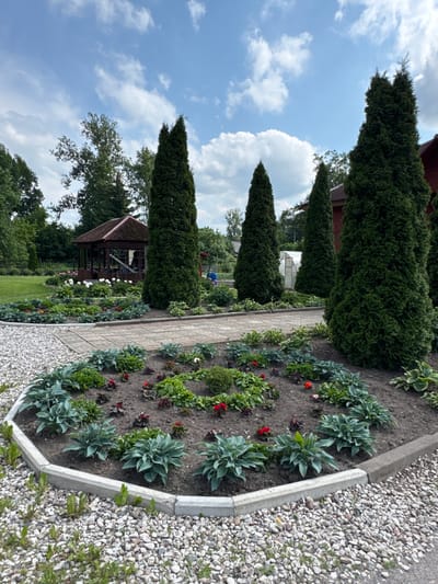 The image depicts a well-maintained garden area with a variety of plants, trees, and a gazebo. The foreground features a circular flower bed filled with hosta plants and smaller red flowers, bordered by gravel and a concrete curb. Behind this flower bed is a paved walkway. In the middle ground, a rustic wooden gazebo with a dark roof stands among lush green trees. Several tall, slender evergreen trees are prominently placed throughout the garden. The background shows more trees, a greenhouse, and a red-bricked building. The sky is blue with scattered white clouds. The scene suggests a peaceful, outdoor setting, likely a park or a private garden in Chudovo, Russia, given the prompt's context. There are no people visible in the image.
