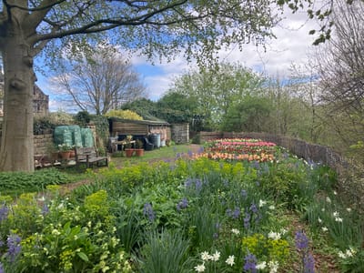 The image shows a garden in what appears to be a rural or semi-rural setting. The sky is overcast, with a mix of blue and white clouds. In the foreground, there's a dense display of mixed flowers, including bluebells, white daffodils, and green euphorbia. A patch of tulips of various colors (red, pink, orange, yellow) are located further back.
To the left, there's a stone structure that looks like a shed or outbuilding. Gardening equipment and potted plants are nearby. A wooden bench sits in front of the structure. A large tree is on the left side. Behind the flowers, a woven fence separates the garden from the surrounding vegetation.
The scene is located in Bradford, United Kingdom. The details suggest a well-maintained garden. There are no people visible in the image.