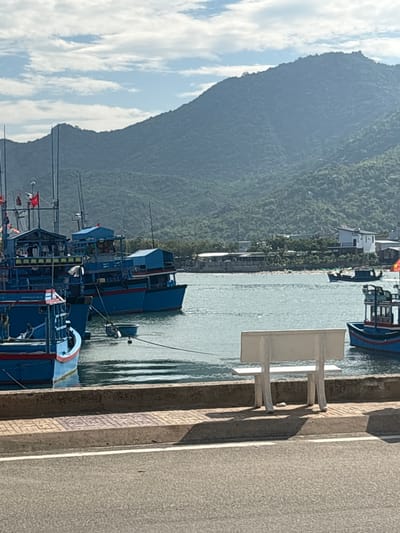 The image displays a serene coastal landscape, likely a harbor or bay in Ninh Chu Ward, Vietnam. The scene is presented in bright daylight under a sky dotted with fluffy white clouds, suggesting pleasant weather.

In the foreground, a paved dock or road runs along the right side of the frame, its textured surface visible. Along this dock, two white, rectangular structures, possibly signposts or benches, cast distinct shadows, indicating a clear sun angle.

The midground is dominated by a calm body of water, likely a bay or harbor, where several traditional Vietnamese fishing boats are moored. These boats are predominantly blue with accents of white and red. Many are equipped with masts and visible fishing gear. A red flag with a yellow star, characteristic of the Vietnamese national flag, can be seen on at least one boat, serving as a strong location cue.

Across the water, the background is dominated by large, verdant mountains, their slopes densely covered in green foliage. At the base of these mountains, along the waterline, several buildings or houses with light-colored roofs are nestled amongst the trees.

No people are visible in the image, and there is no discernible text on any of the objects or structures. The overall impression is one of a peaceful, active fishing community preparing for, or resting from, maritime activities.