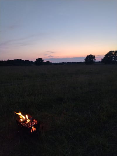 The image depicts a grassy field at dusk, with a small campfire burning in a metal brazier in the lower left quadrant. The sky transitions from a pale blue at the top to soft hues of pink and orange near the horizon, indicating the sunset. Silhouettes of trees form a dark line along the horizon, with a few scattered trees in the midground. The grass in the field is tall and appears dry, with long blades casting shadows in the fading light. The fire in the brazier is actively burning, with bright orange flames and glowing embers. There are no people visible in the image. The scene suggests an outdoor setting in a rural or natural area, possibly near Kriukovskoe, Russia, given the provided context.