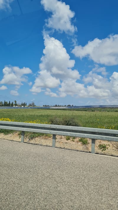 A road runs along a field under a cloudy blue sky in Hof Ashkelon Regional Council, Israel. A grey metal guardrail separates the road from the green field, which contains small yellow flowers. Distant trees line the edge of the field.