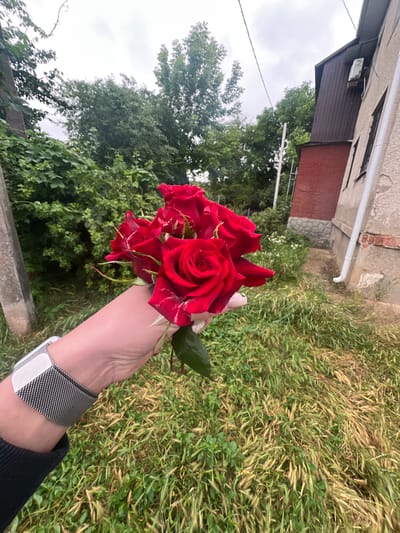 A first-person perspective shot shows a hand wearing a silver smartwatch holding a bouquet of red roses in front of a blurred background. The roses are vibrant red with white streaks on some petals. The hand is positioned in the lower-left corner of the frame. In the background, lush green foliage and trees dominate the scene, with a brick and concrete building on the right. The sky is overcast and gray. The setting appears to be an outdoor, possibly residential area.