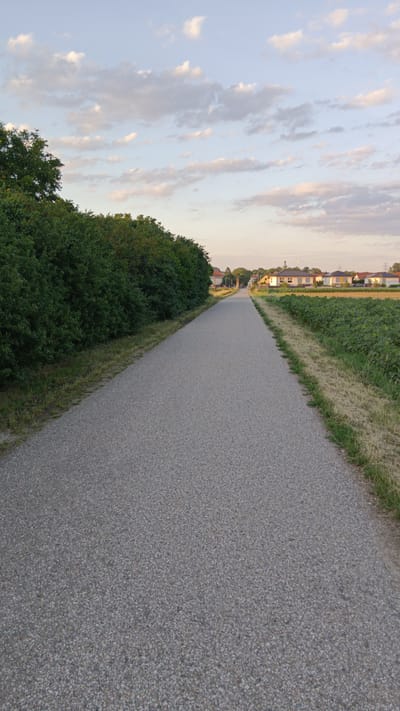 This media file depicts a paved path leading towards a residential area at dusk. The path is flanked by a dense line of green bushes on the left and a field of green plants, possibly sunflowers, on the right. In the distance, houses with light-colored facades and dark roofs are visible, along with a church steeple. The sky is a soft blue with scattered, wispy clouds, indicating fair weather and the transition from day to night. The overall mood is peaceful and serene. No people or specific objects are the primary focus, with the emphasis being on the landscape and the path. The scene suggests a rural or suburban setting in Sankt Pölten, Austria. There is no visible text in the image.