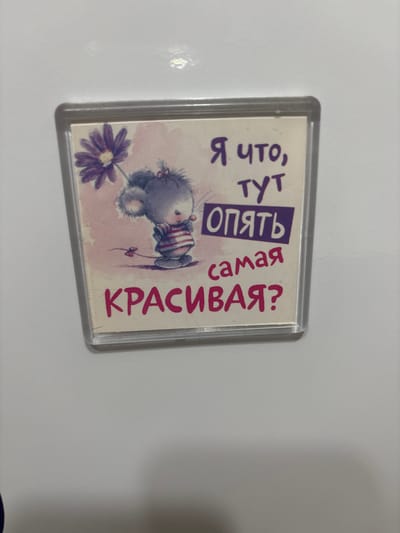 This media file features a close-up of a keychain with a cartoon illustration. The illustration depicts a fluffy, gray creature, possibly a mouse or a teddy bear, holding a purple flower. The character is wearing a striped shirt and has red bows on its ears. A small ladybug is also visible near the character. The background of the illustration is a soft, pastel pink.
The text on the keychain is in Russian and is oriented vertically. The text reads: "Я что, тут опять самая красивая?" which translates to "What, am I the most beautiful here again?". The words "опять" (again) and "красивая" (beautiful) are emphasized with purple and pink lettering respectively.
The keychain itself is enclosed in a clear plastic case with a silver border. The overall aesthetic is cute and whimsical, likely intended as a humorous or affectionate gift. The lighting suggests an indoor setting, with a soft shadow cast to the right of the keychain. The image appears to be taken in Княгинино, Russia.