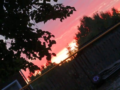 The image captures a sunset in Shestunikha, Russia, characterized by a vibrant pink and orange sky filled with wispy clouds. In the foreground, the silhouettes of tree branches with leaves partially obscure the view, creating a natural frame. To the right, a dark wooden fence runs diagonally across the frame, with a yellow pipe or railing running parallel to it. Beyond the fence, the silhouettes of trees suggest a wooded area. The overall lighting indicates it is either dawn or dusk.