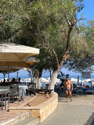 The image depicts a sun-drenched scene at a beachside establishment in Germasogeia Municipality, Cyprus. In the foreground, a man with a muscular build, wearing grey swim trunks and flip-flops, walks towards the right of the frame. He has a dark beard and is bare-chested. To the left, an outdoor seating area of a cafe or restaurant is visible, with tables covered in checkered tablecloths and chairs. Large beige umbrellas provide shade over the seating area. Beyond the seating area, the sandy beach stretches out, dotted with numerous white sun loungers and umbrellas. The clear blue sea is visible in the background, meeting the horizon under a bright blue sky. Trees with dense green foliage are scattered throughout the scene, providing natural shade. A small, light-colored cat is visible near a tree stump on the left side of the frame. The overall atmosphere is that of a relaxed beach resort.