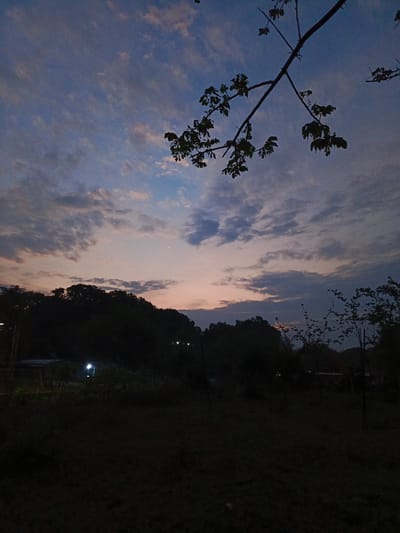 The image depicts a landscape at dusk, possibly located in the city of Monagas, Venezuela. The foreground is dominated by a dark, unidentifiable field. In the midground, there is a treeline with dense foliage, silhouetted against the twilight sky. A few faint lights are visible, possibly from buildings or structures, on the left side of the treeline. Above the treeline, the sky transitions from a deep blue to a soft orange and pink hue, with scattered clouds. A crescent moon is visible in the upper-middle portion of the sky. In the upper right portion of the image, tree branches with leaves extend from the top, partially obscuring the sky. There are no people visible in the image.