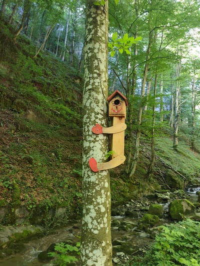 The image depicts a wooden birdhouse, shaped like a cartoon face with red heart-shaped "arms," attached to a tree trunk in a lush, green forest. The birdhouse has a red roof and a circular opening. The tree trunk is light-colored with dark speckles. The forest floor is covered in green vegetation, and a small stream with moss-covered rocks flows through the scene. The background consists of dense trees with a steep, vegetated hillside. The image was captured in the vicinity of Teteven, Bulgaria.