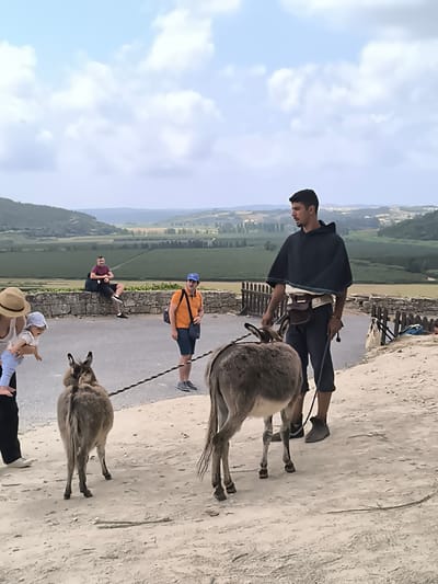 This image depicts a scenic overlook with people and donkeys in the foreground. A young man, dressed in a dark hooded garment and dark pants with a pouch at his waist, is holding the reins of a donkey. Another donkey stands beside it, also on a tether. To the left, a woman wearing a straw hat is holding a baby. In the background, several people are seated on a stone wall overlooking a valley with rolling hills and vineyards. The sky is partly cloudy. The scene appears to be set in a rural or historical location. While the prompt mentions the city of Óbidos, Portugal, there are no specific visual cues in the image to confirm this exact location, though the landscape and architecture are consistent with Portuguese scenery.